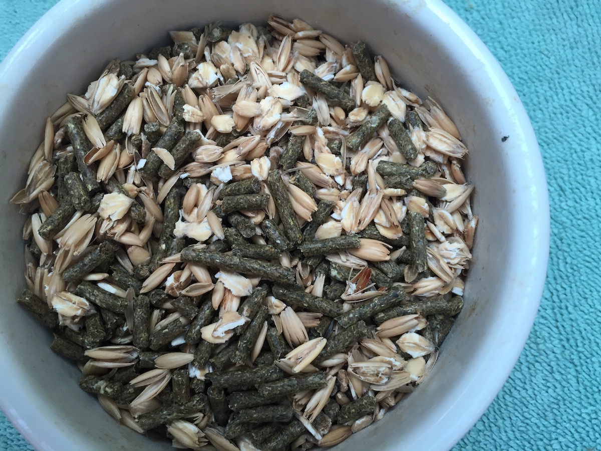 Feeding angora rabbits - UK National Angora Rabbit Club