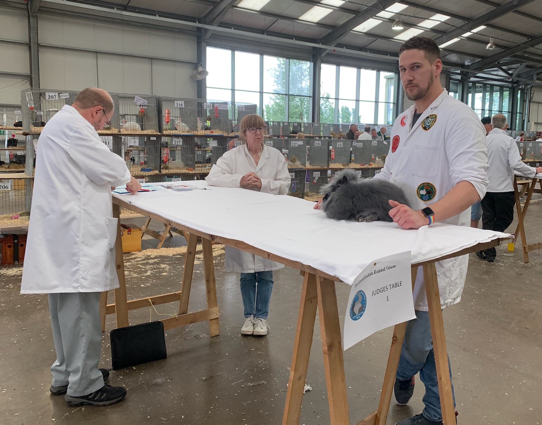 Great British Rabbit Show July 2022 - UK National Angora Rabbit Club