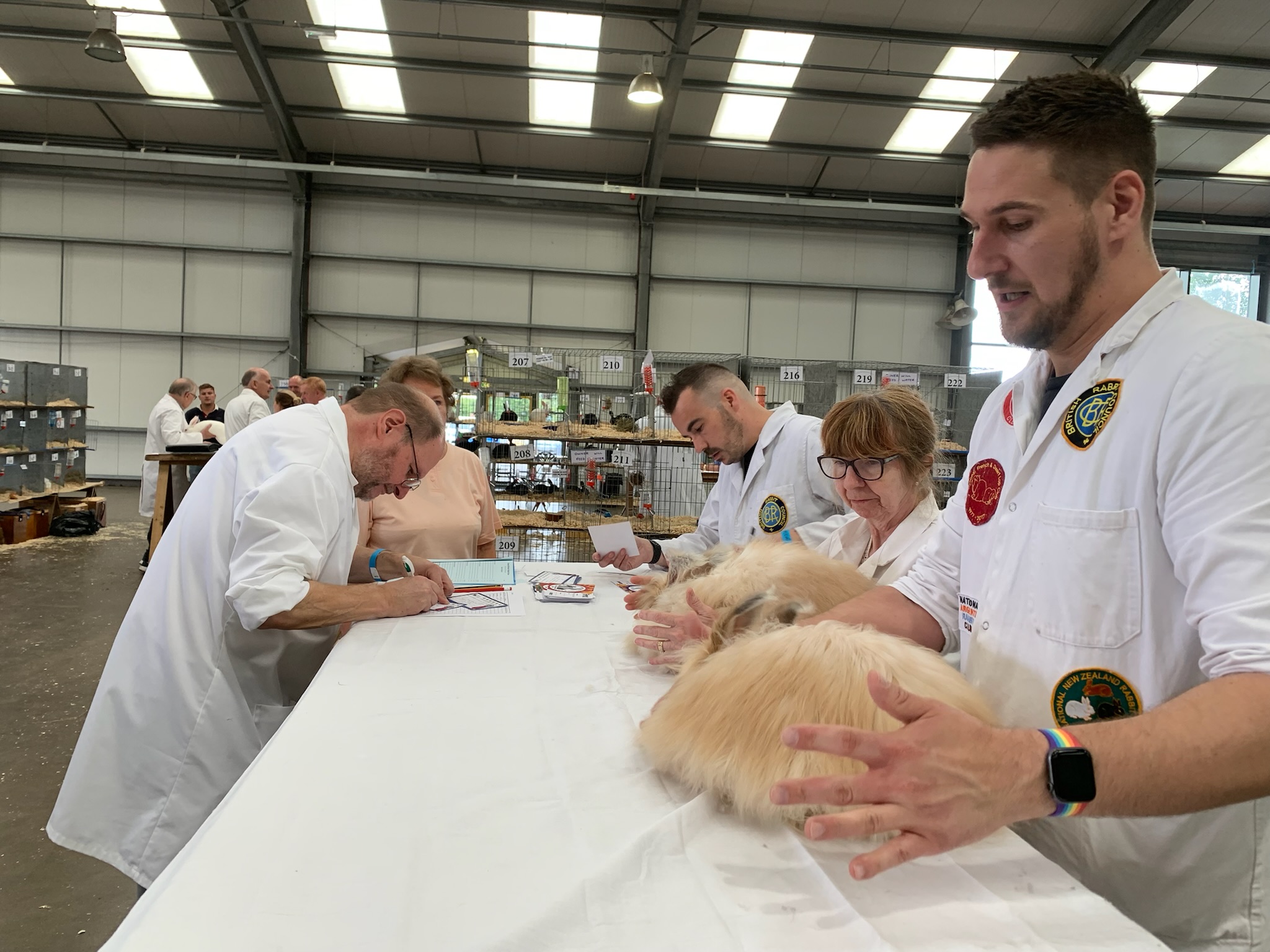 Great British Rabbit Show July 2022 - UK National Angora Rabbit Club