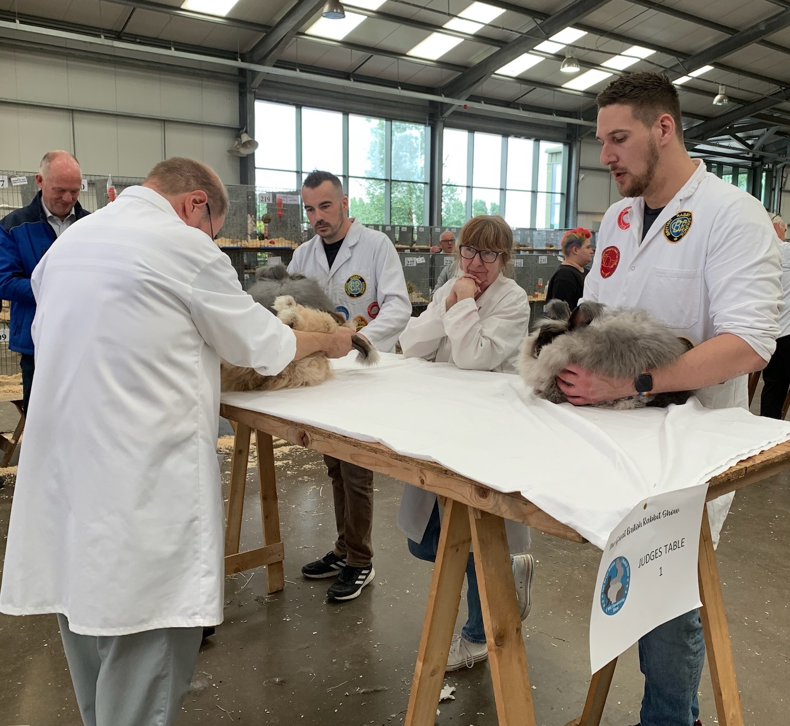 Great British Rabbit Show July 2022 - UK National Angora Rabbit Club