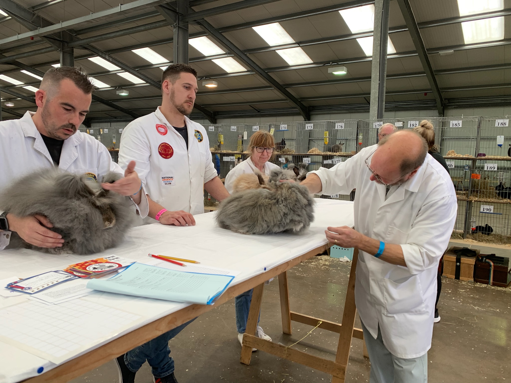 Great British Rabbit Show July 2022 - UK National Angora Rabbit Club