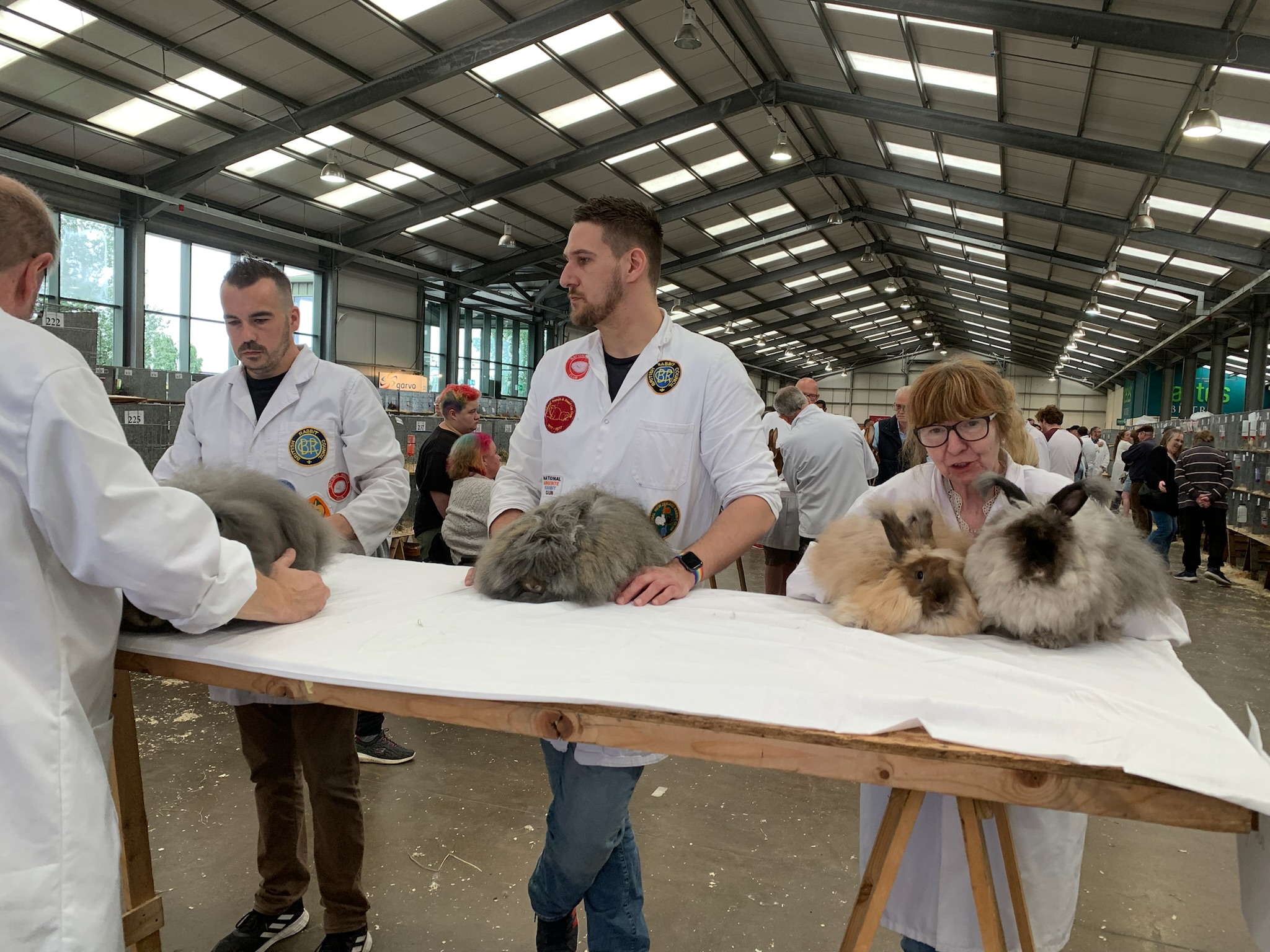 Great British Rabbit Show July 2022 - UK National Angora Rabbit Club
