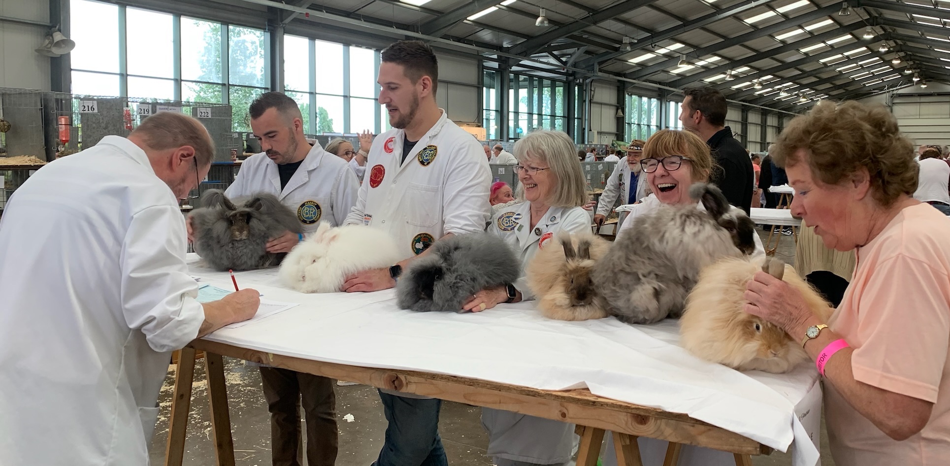 Great British Rabbit Show July 2022 - UK National Angora Rabbit Club