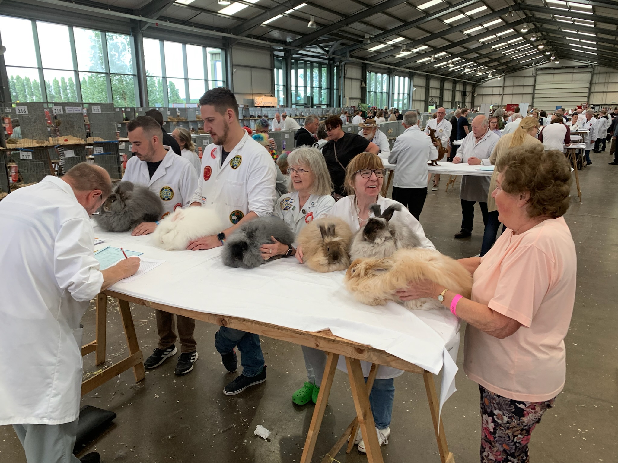 Great British Rabbit Show July 2022 - UK National Angora Rabbit Club