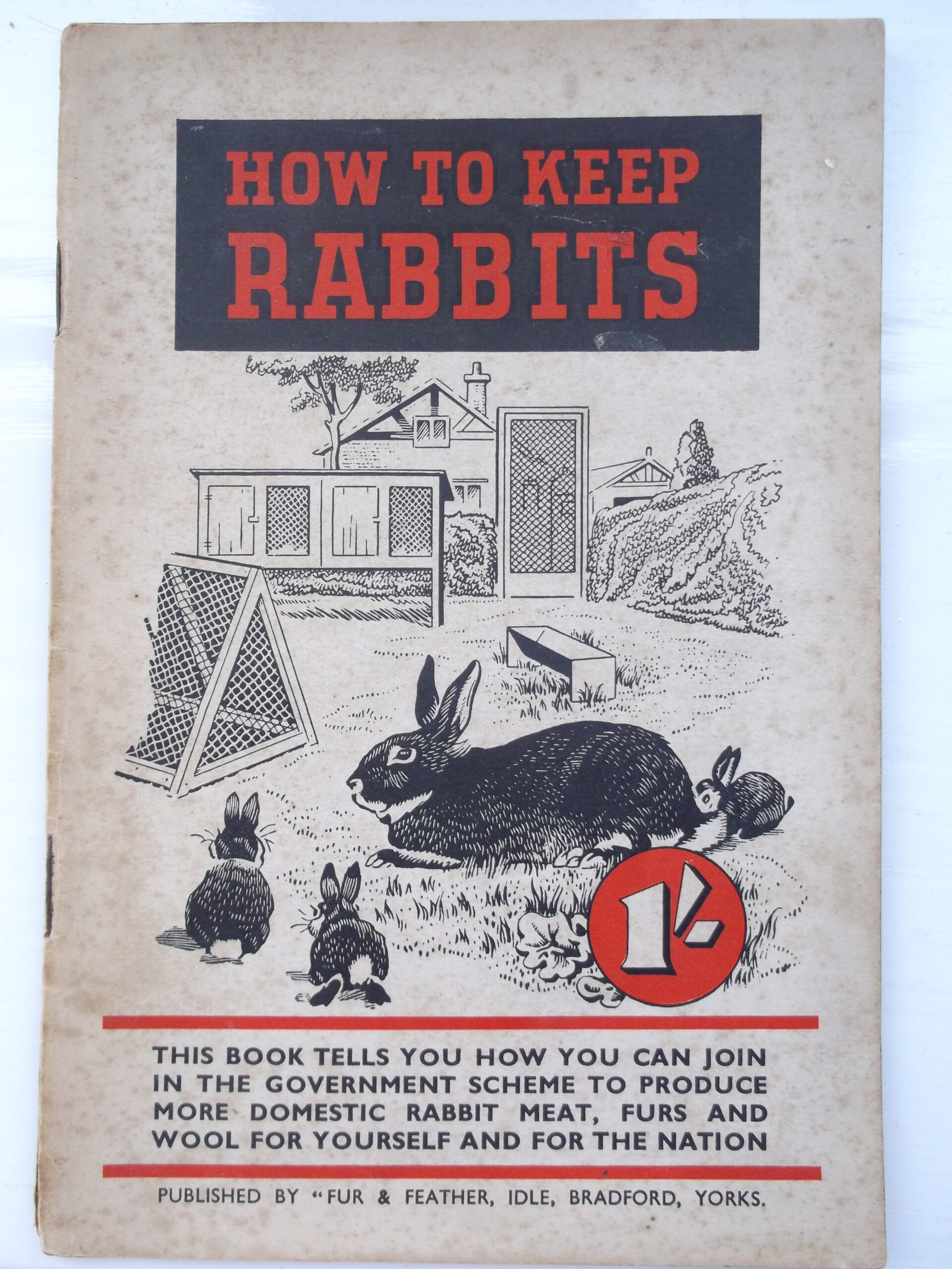 Angoras and other rabbits in World War II - UK National Angora Rabbit Club
