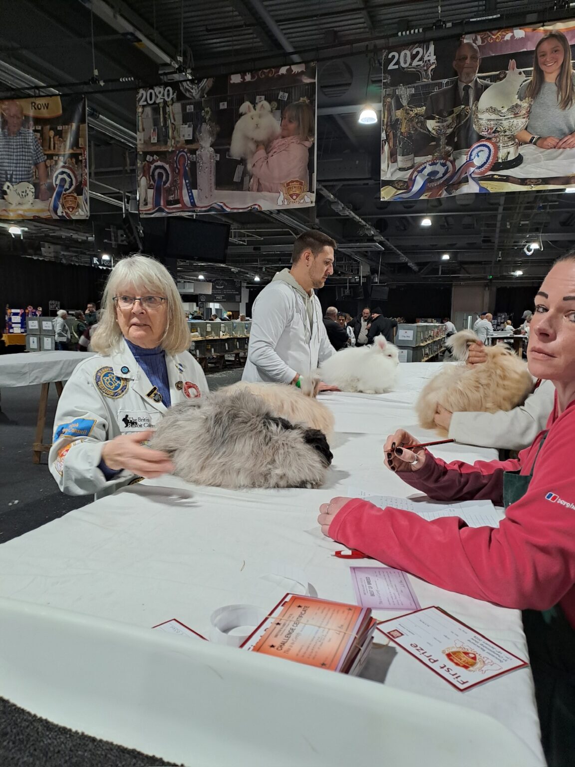 Angora show at Bradford 2026 - UK National Angora Rabbit Club
